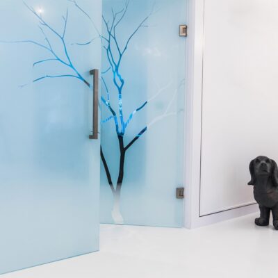 Sandblasted Glass Door