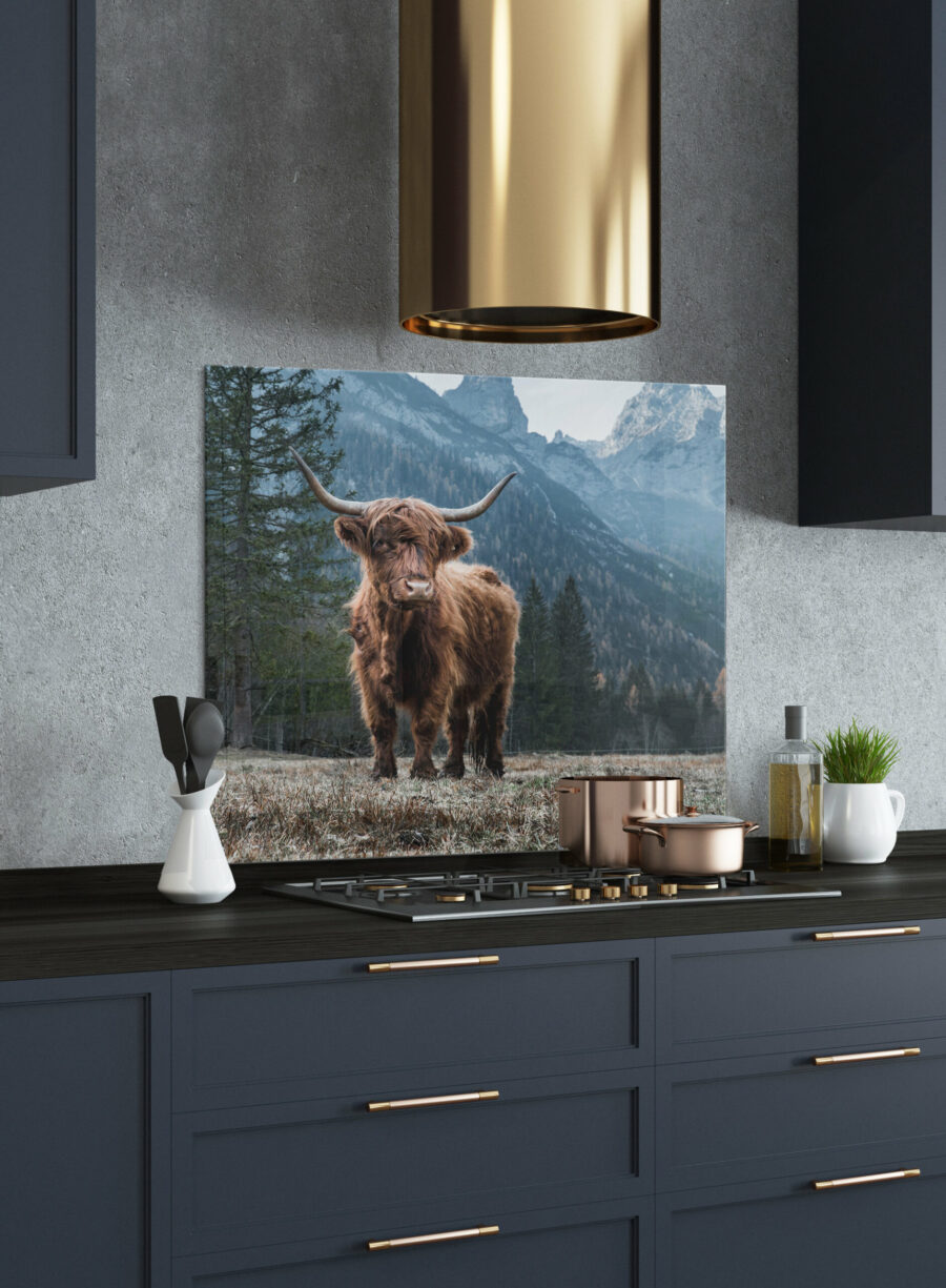 Highland Cow Print Splashback