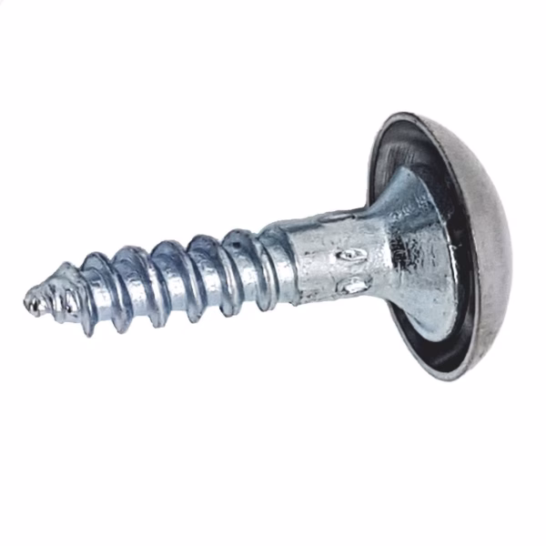 mirror-dome-head-screws-x-4