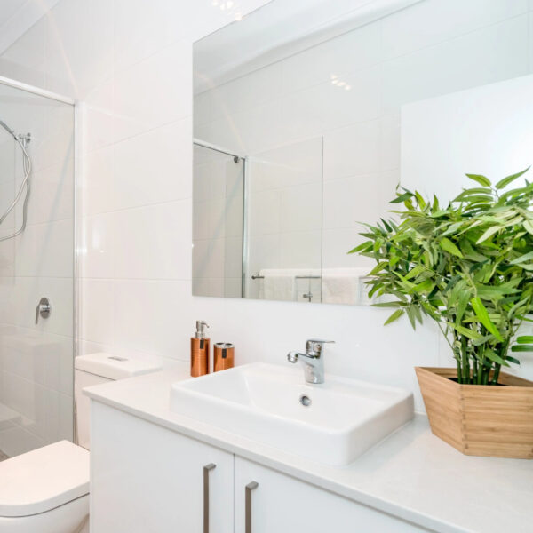 Silver Rectangle and Square Mirror