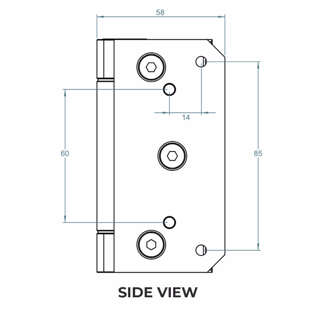 Soft Close Glass-to-Wall Balustrade Gate Hinges (Pair) - Image 5